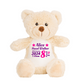 Birth Stats Keepsake Teddy Bear