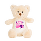 Birth Stats Keepsake Teddy Bear