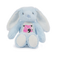 Birth Stats Keepsake Blue Rabbit