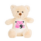 Birth Stats Keepsake Teddy Bear