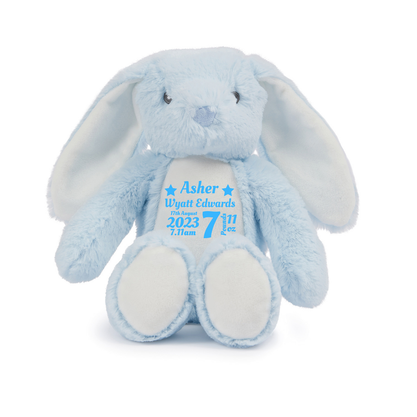 Birth Stats Keepsake Blue Rabbit