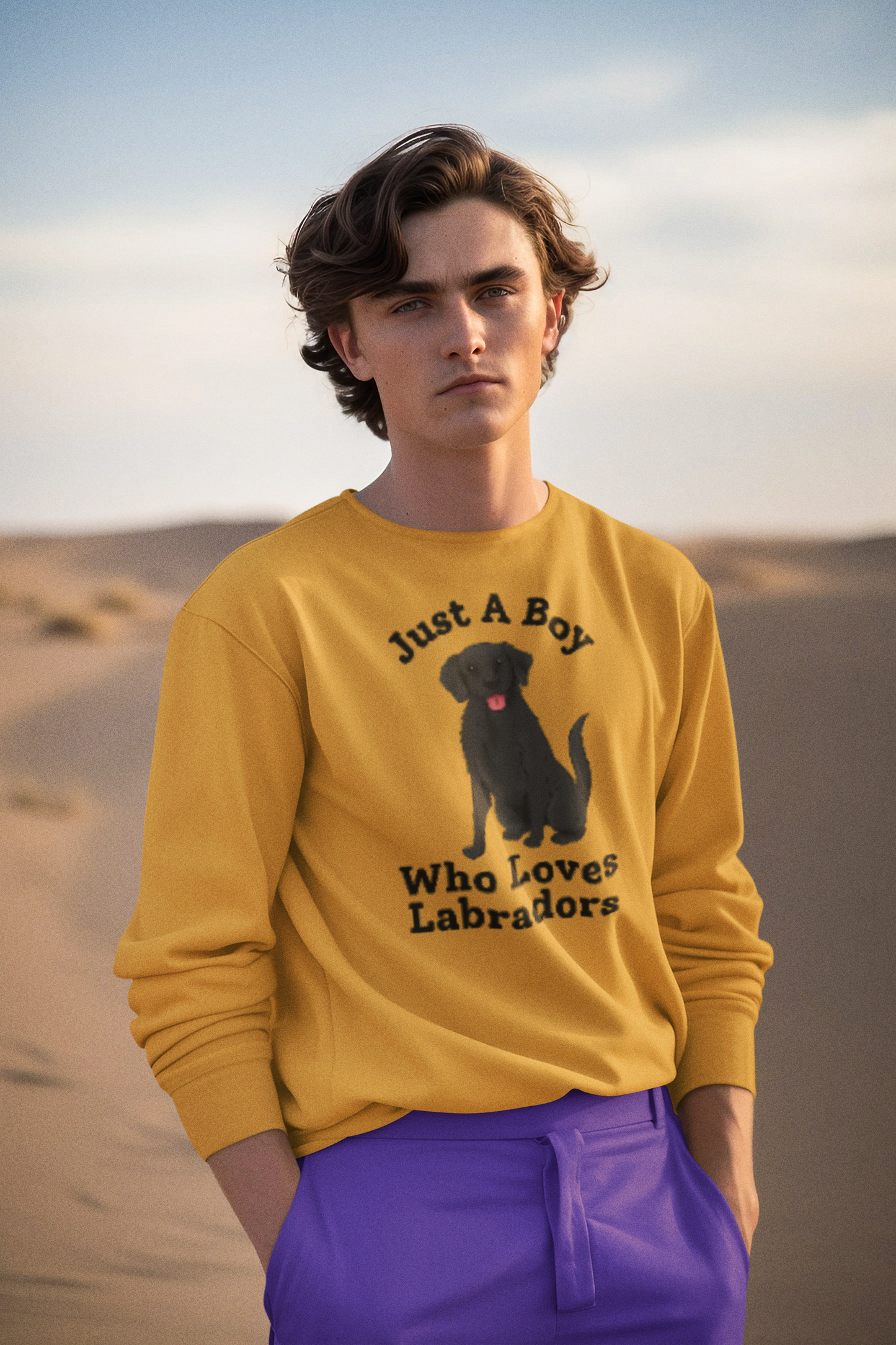 Black Labrador sweatshirt - Just a boy who loves Labradors