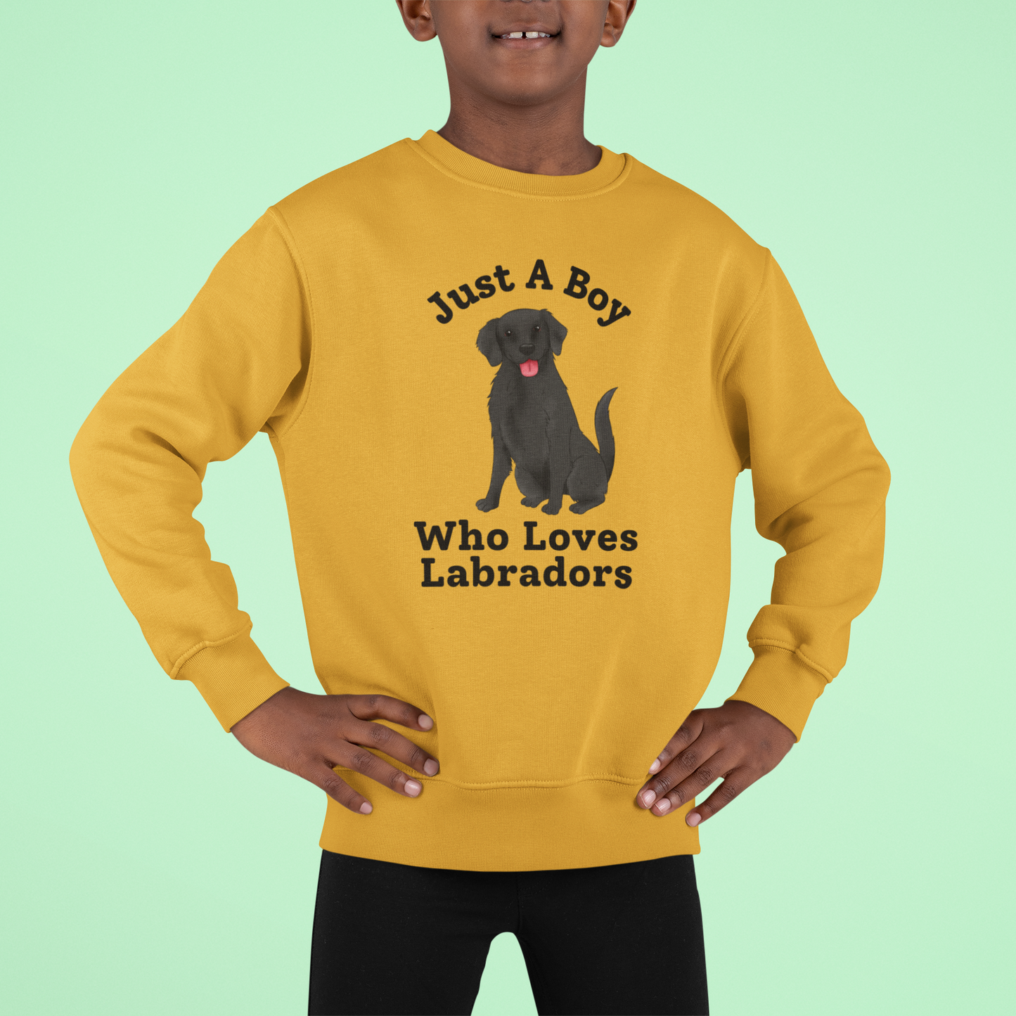 Black Labrador sweatshirt - Just a boy who loves Labradors