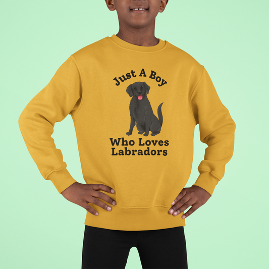 Black Labrador sweatshirt - Just a boy who loves Labradors