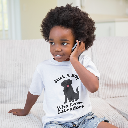 Just A Boy Who Loves Labradors t-shirt