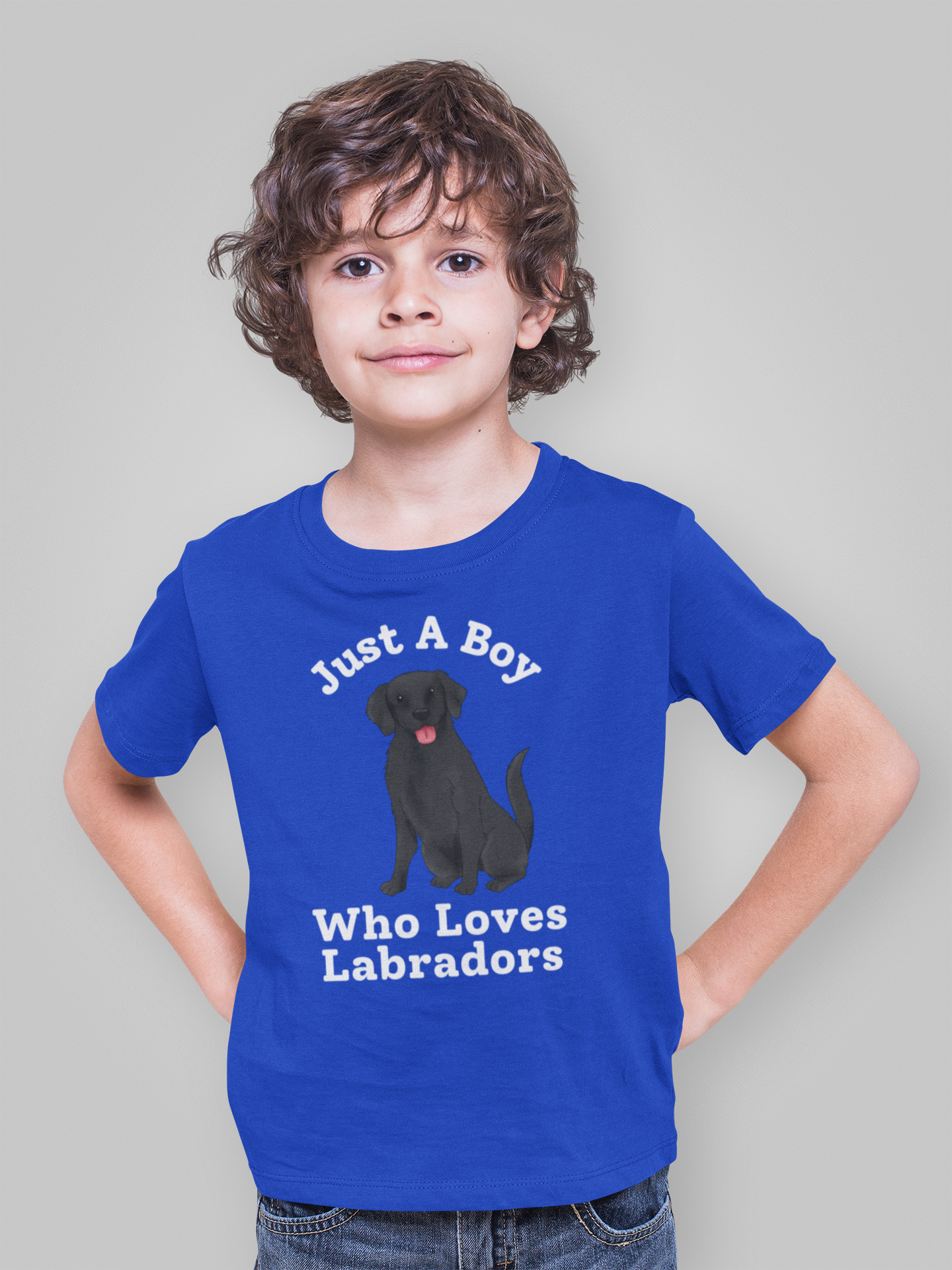 Just A Boy Who Loves Labradors blue t-shirt