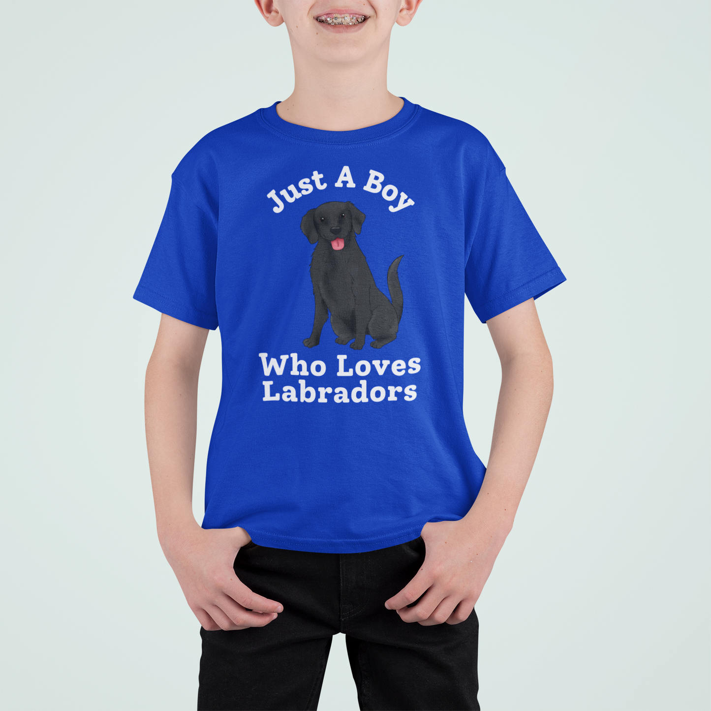 Just A Boy Who Loves Labradors blue t-shirt